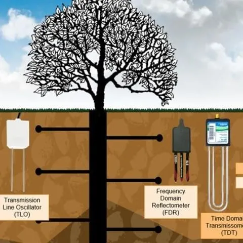 thumbnail for publication: Common Questions When Using Soil Moisture Sensors for Citrus and Other Fruit Trees